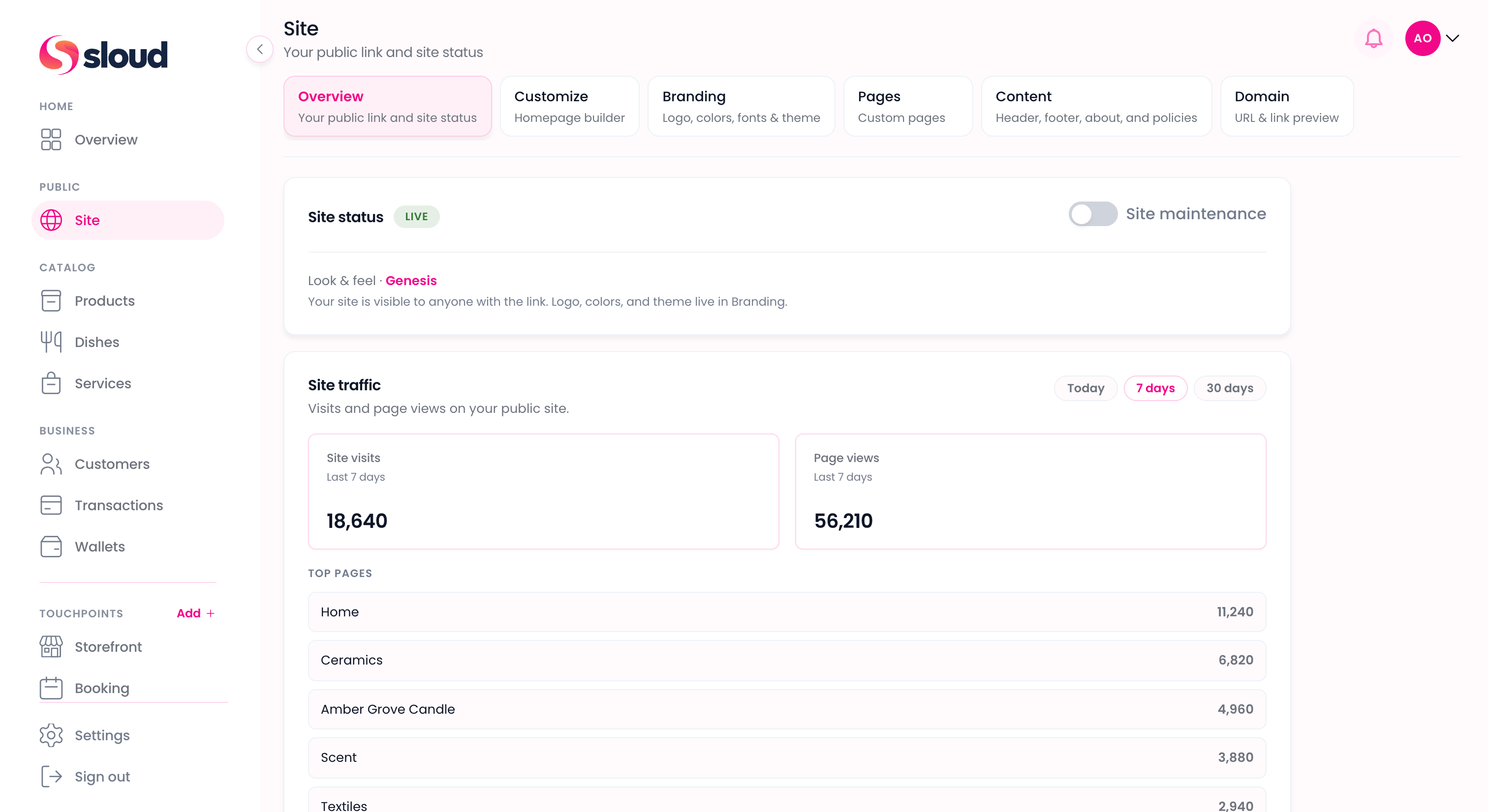 Sloud Site overview with live status, public URL, and module controls